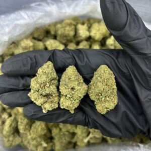 Cannabis
