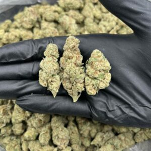 WHITE CHERRY GELATO