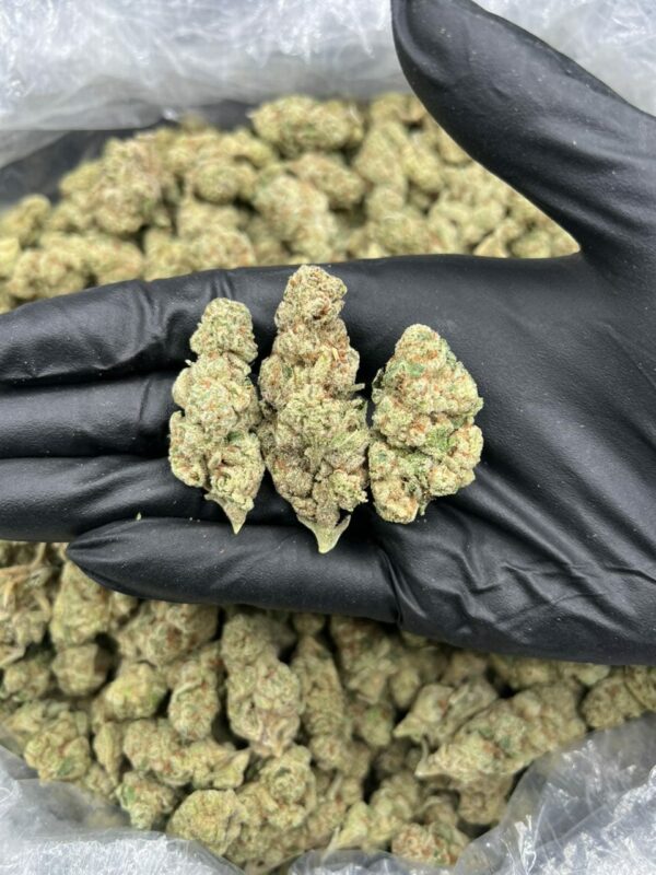 WHITE CHERRY GELATO