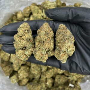 Girl Scout Cookies
