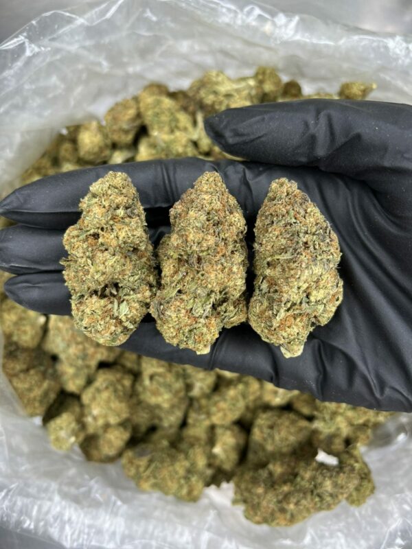 Girl Scout Cookies