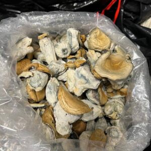 Mushrooms